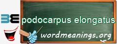 WordMeaning blackboard for podocarpus elongatus